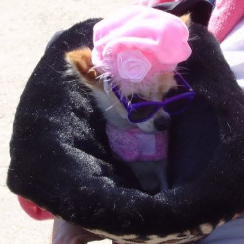 Meet your Posher, Nancy